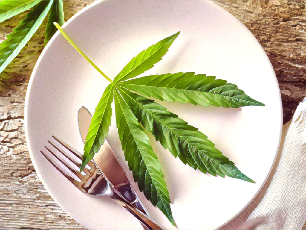catering company's prospects, distribute cannabis-infused